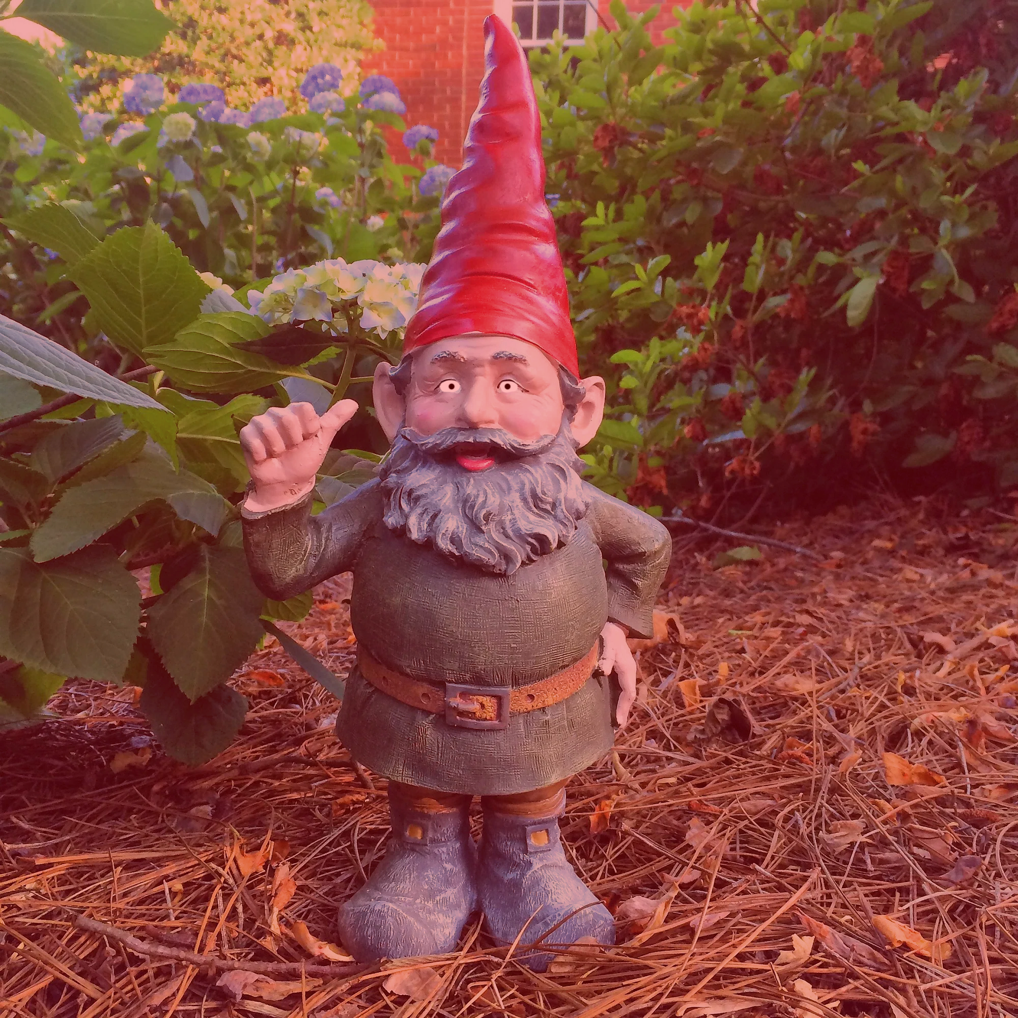 Gnome Henchman #1